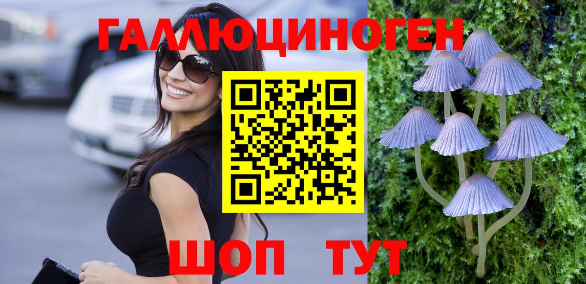 Псилоцибиновые грибы Psilocybe  Вход с VPN  Сергиев Посад 